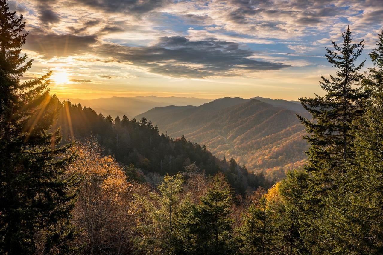 Апартаменти Kickin Back Whispering Pines 343 Піджен-Фордж Екстер'єр фото